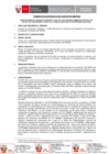 Vista preliminar de documento TDR 2867-2025
