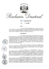 Vista preliminar de documento RD 085-2025-INPE-OGA