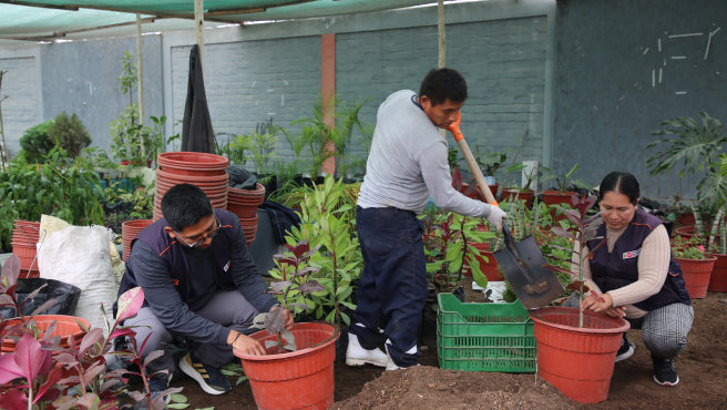 Urilización de abono orgánico en plantas