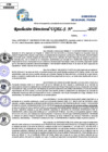 Vista preliminar de documento Resolucion Directoral N° 003462-2025