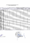 Vista preliminar de documento resultado rac IE
