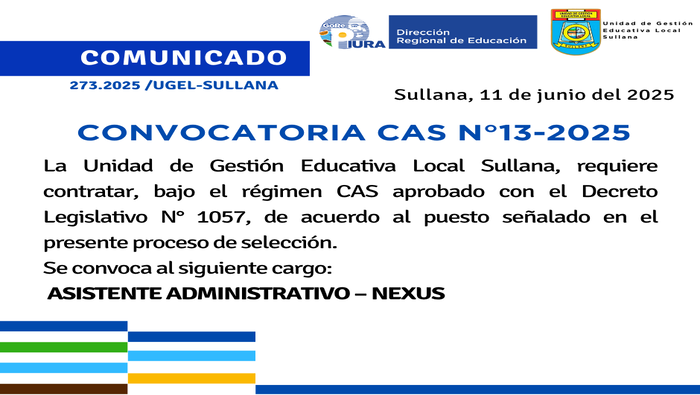 Comunicado N°273-2025