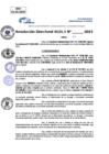 Vista preliminar de documento Resolucion Directoral N° 003482-2025