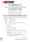 Vista preliminar de documento Proceso CAS N° 100-2025-DAE (resultados de requisitos mínimos)