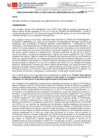 Vista preliminar de documento R.D 514