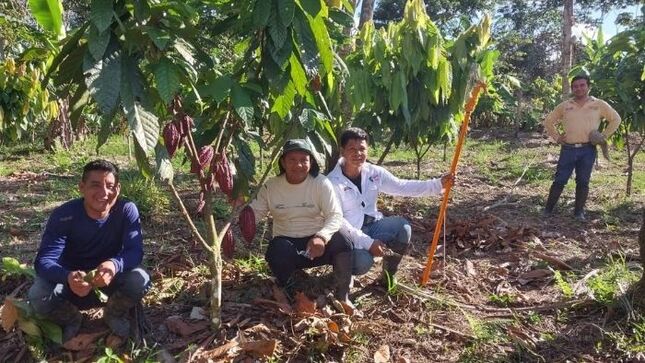 Proyecto Cacao Rosa Panduro impulsa desarrollo y calidad de vida en zona fronteriza