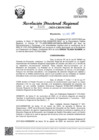 Vista preliminar de documento RDR Nº 1125-2025-GRSM-DRE
