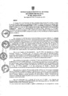 Vista preliminar de documento am081-2025