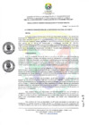 Vista preliminar de documento RCO N° 233-2025
