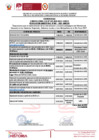 Vista preliminar de documento CONVOCATORIA CAS N 23 - CRONOGRAMA - 2025