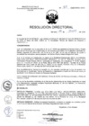 Vista preliminar de documento R.D. Nº 411-2025