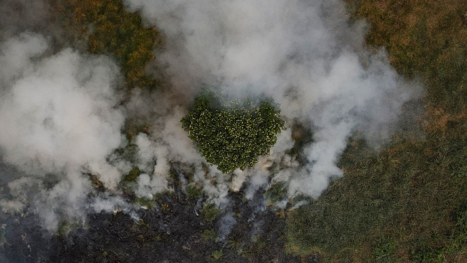 INCENDIO