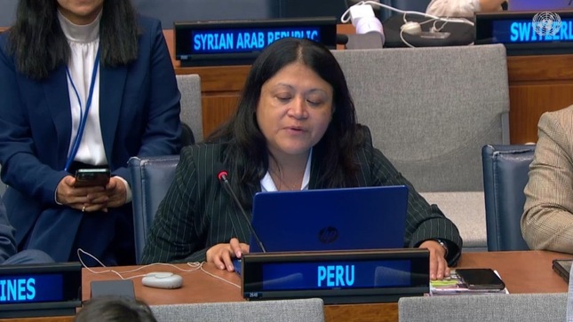 Perú presenta avances en derechos de personas con discapacidad ante relatora de la ONU 