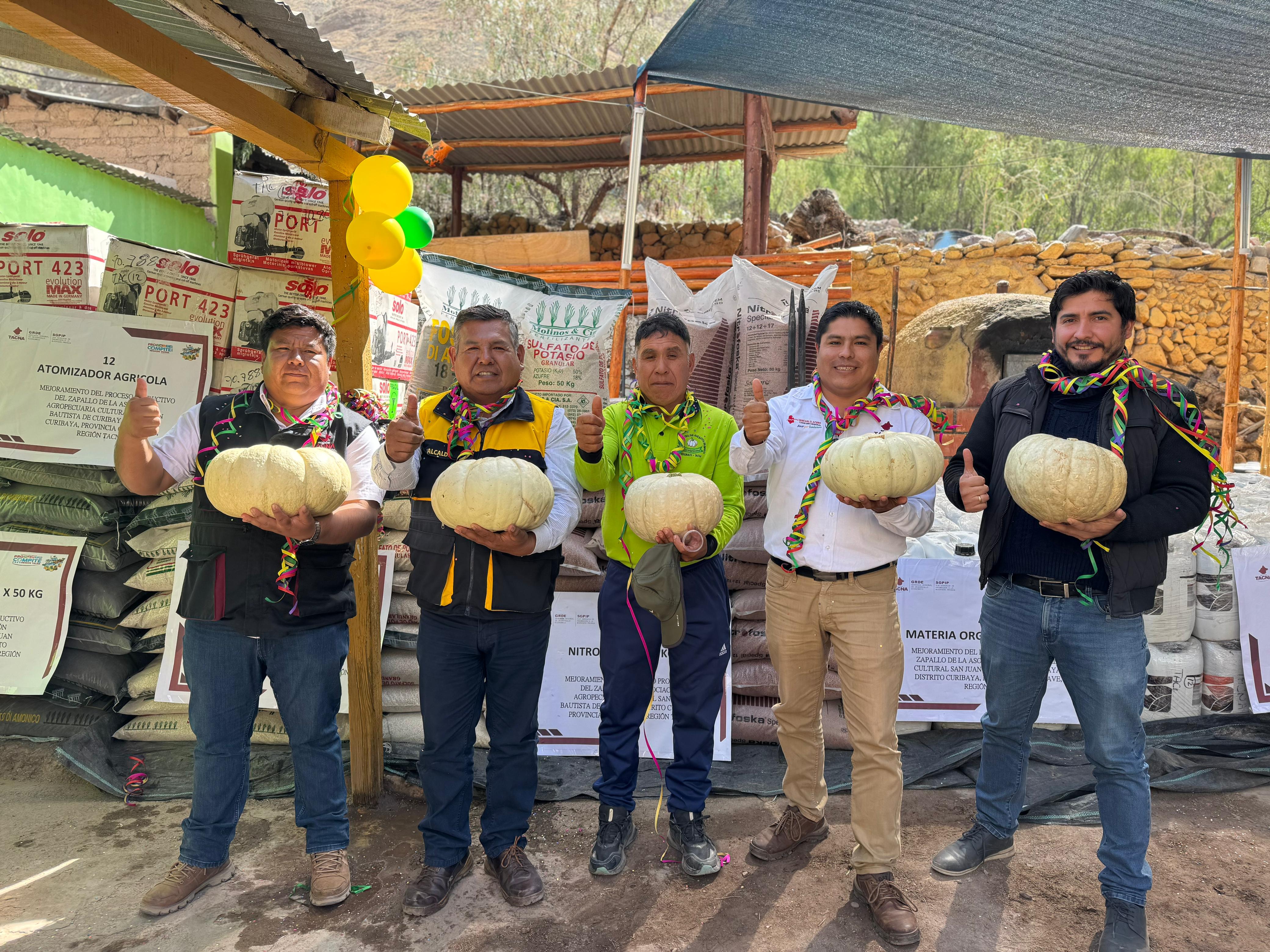 Mejorarán producción de zapallo en Curibaya