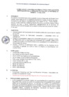 Vista preliminar de documento BASES DESFILE-21 DE JUNIO