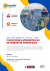 Vista preliminar de documento Boletin_semanal_DZ3_12_19_JUN_2025