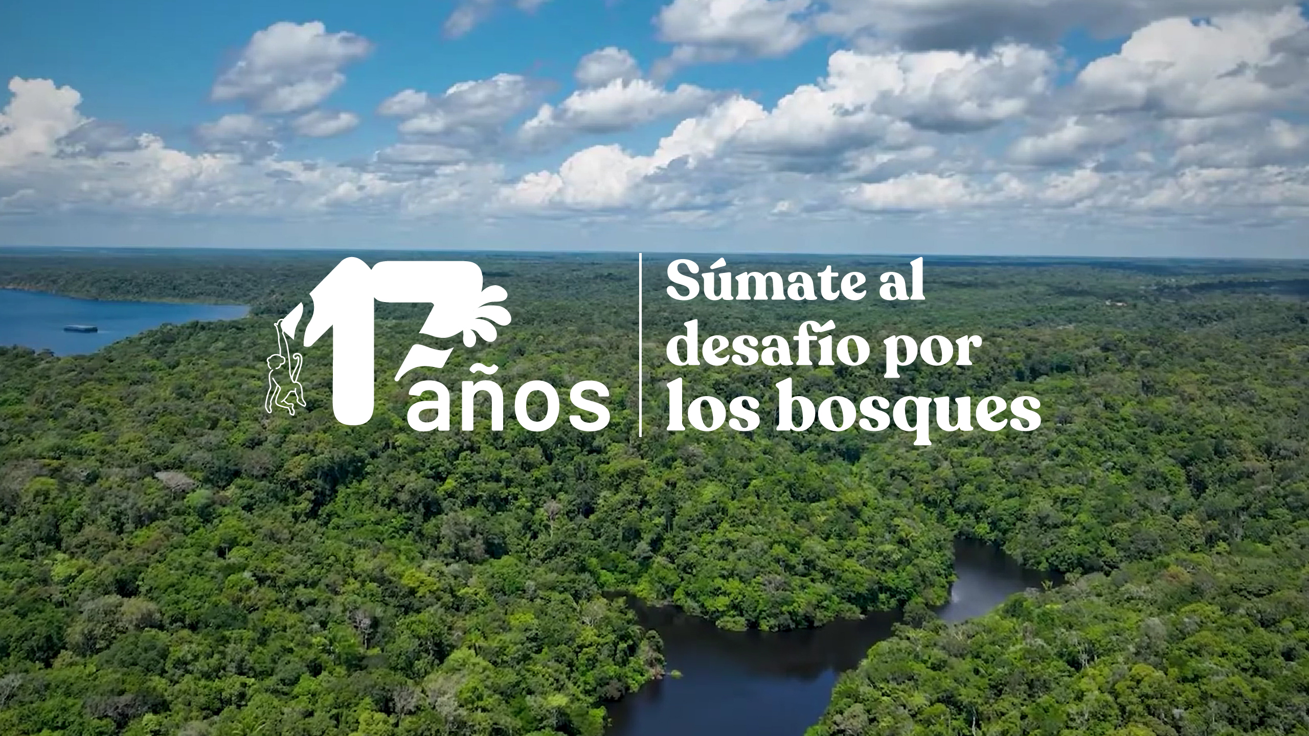 Archivo JPGE del OSINFOR convoca a sumarse al desafío por los bosques