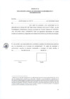 Vista preliminar de documento DECLARACIÓN JURADA DE VERACIDAD DE INFORMACION Y DOCUMENTACION ANEXO N°2
