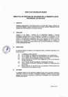 Vista preliminar de documento DIRECTIVA N°005-2025-OSTI-GM-MPM