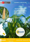 Vista preliminar de documento Boletín de Riesgo Agroclimático para el cultivo de maíz - Junio 2025