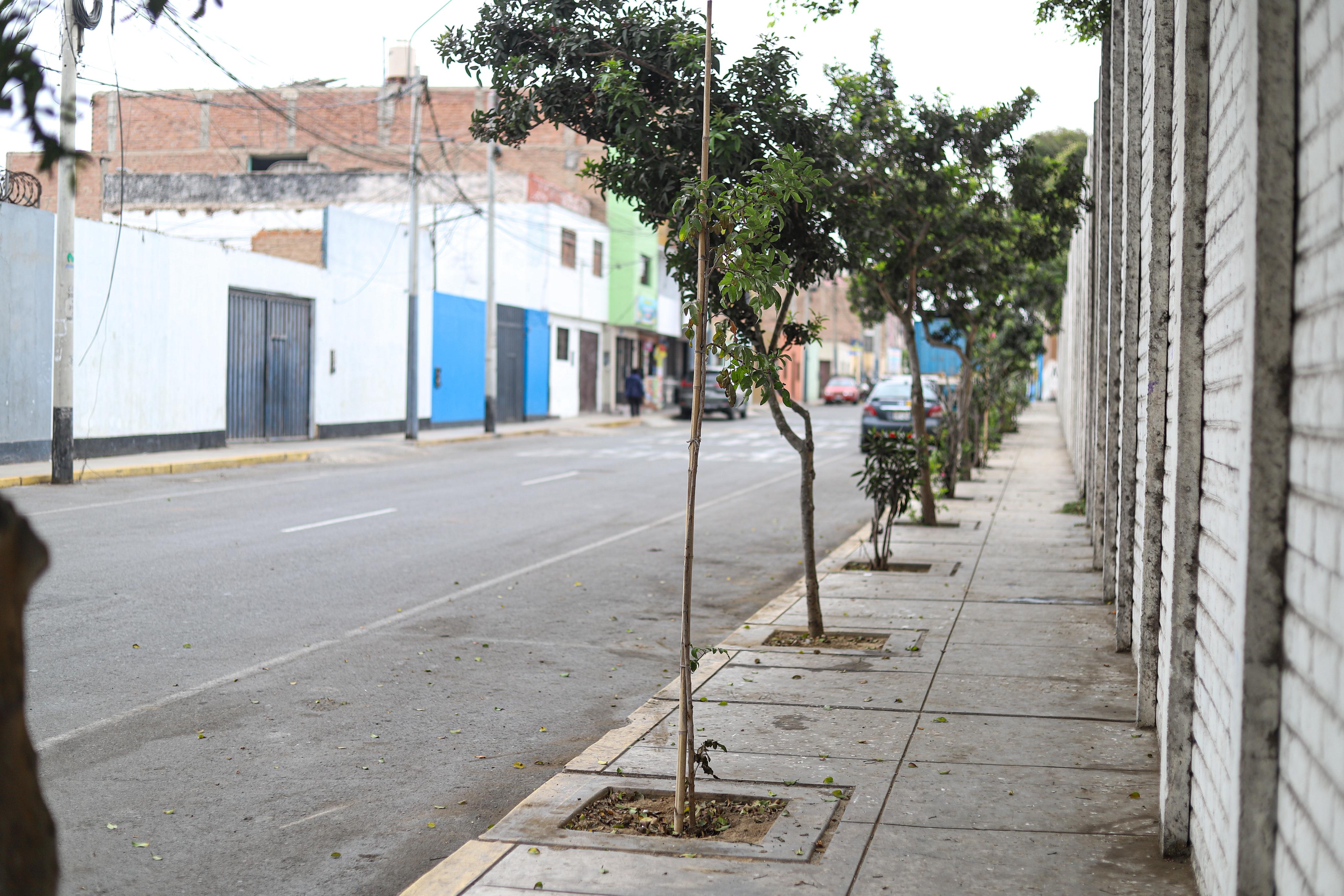 siembra