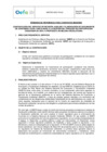 Vista preliminar de documento TDR REQ 2836 vf