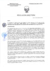 Vista preliminar de documento RD-2585-2025-DSAIA-DIRIS-LE-MINSA