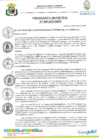 Vista preliminar de documento ORDENANZA 09-2025