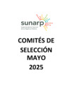 Vista preliminar de documento ACTAS DE CONCILIACION-MAYO 2025