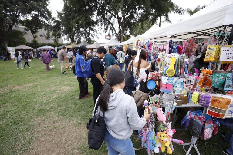 cultura Fest