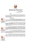 Vista preliminar de documento RD.Nro.484-2025-IN-OGRH