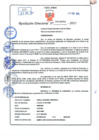 Vista preliminar de documento RD 000070 - AÑO 2011