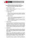 Vista preliminar de documento REQ 2895 TDR