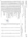 Vista preliminar de documento CUADRO MULTIANUAL N°132