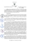 Vista preliminar de documento RER.350
