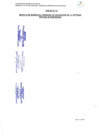 Vista preliminar de documento Bases Proceso de Convocatoria N°002