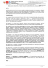 Vista preliminar de documento RESOLUCION DIRECTORAL N° 000331-2025