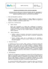 Vista preliminar de documento TDR 2859-2025-SMER