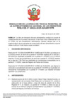 Vista preliminar de documento Resolución de la Dirección Técnica Registral de la Sunarp n.° 023-2025-SUNARP/DTR