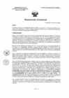 Vista preliminar de documento R.D. 0674-2025-DMID-DIRIS- LE-MINSA
