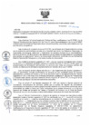 Vista preliminar de documento rd110
