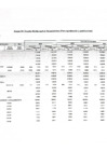 Vista preliminar de documento Cuadro de Necesidades Anexo 04