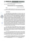Vista preliminar de documento 20250612142943411