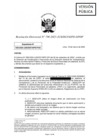 Vista preliminar de documento RD 790-2025