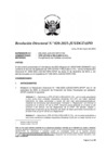 Vista preliminar de documento RD 020-2025
