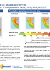 Vista preliminar de documento boletinITH140625