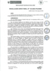 Vista preliminar de documento rd135-2025