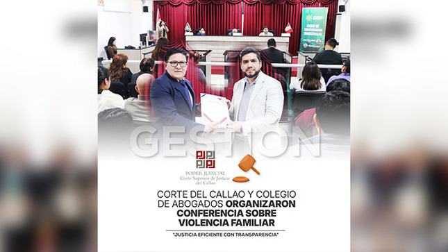 Corte Superior del Callao y Colegio de Abogados organizaron conferencia sobre violencia familiar