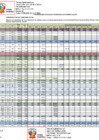 Vista preliminar de documento Cronograma Financiero CCNN Fernando Sthal
