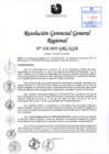 Vista preliminar de documento RGGR 228-2025-GRL-GGR